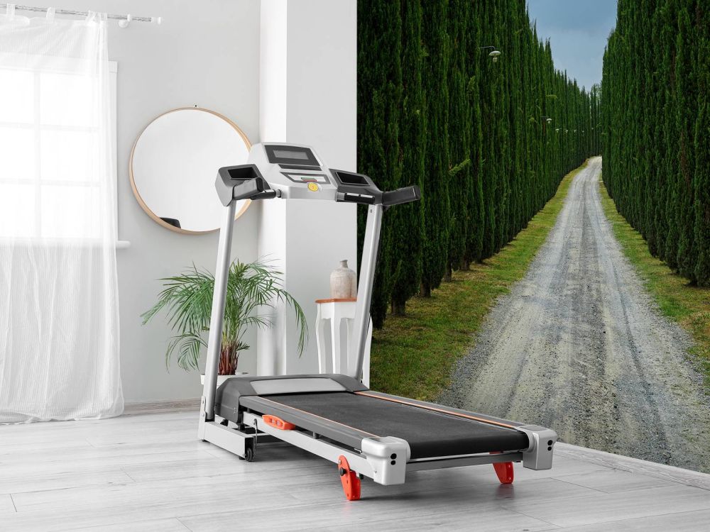 Weg met cypresse