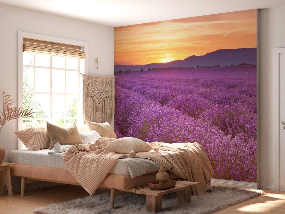 Veld vol lavendel