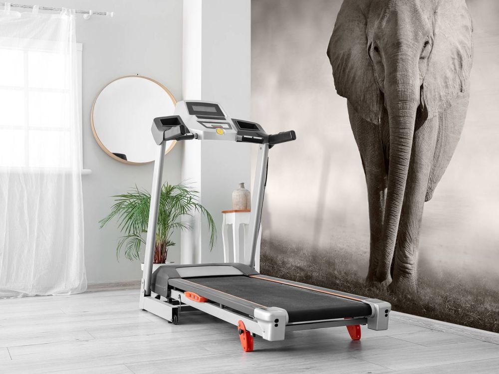 Mooie olifant