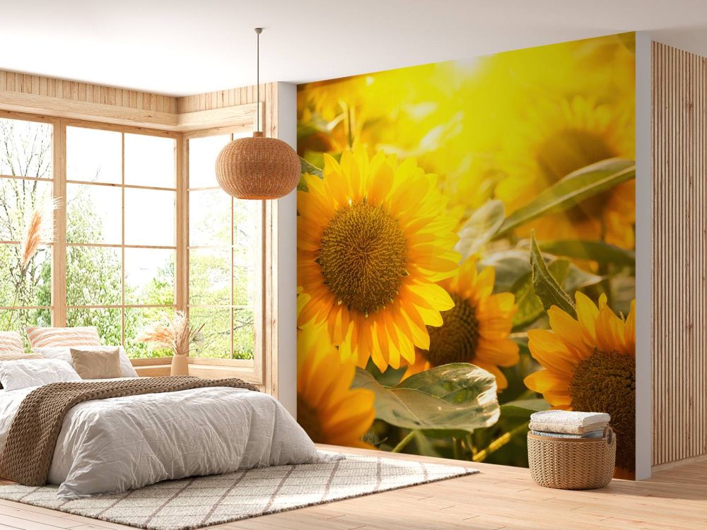 Zonnebloemen en zon