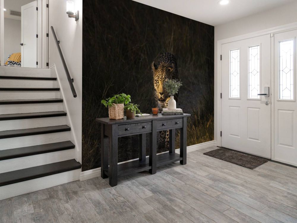 Luipaard met zonsondergang