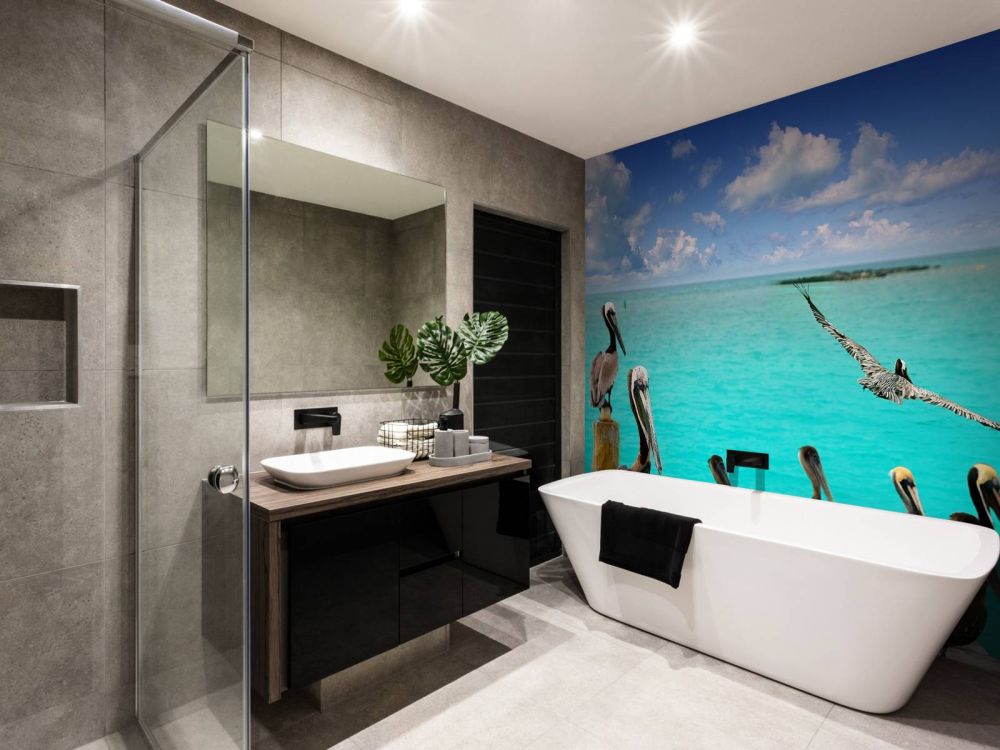 Caribische pelikaan