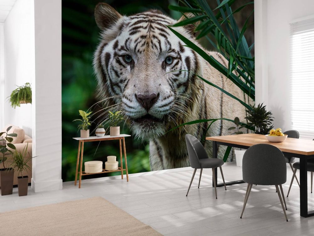 Witte tijger