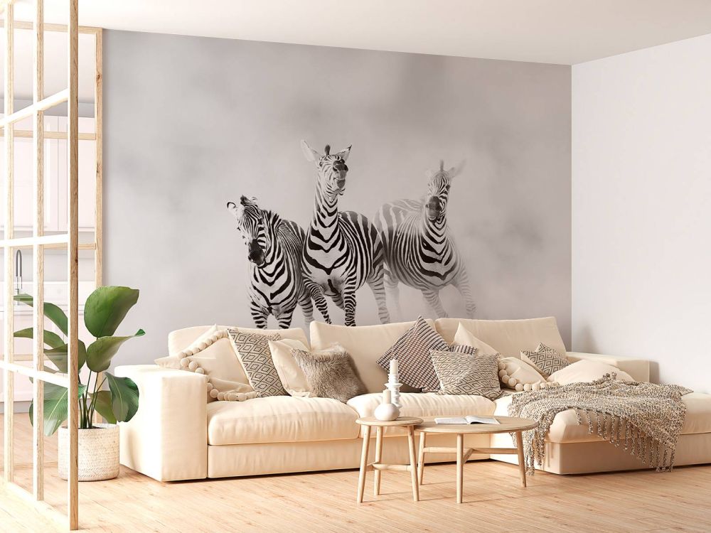 Zebras