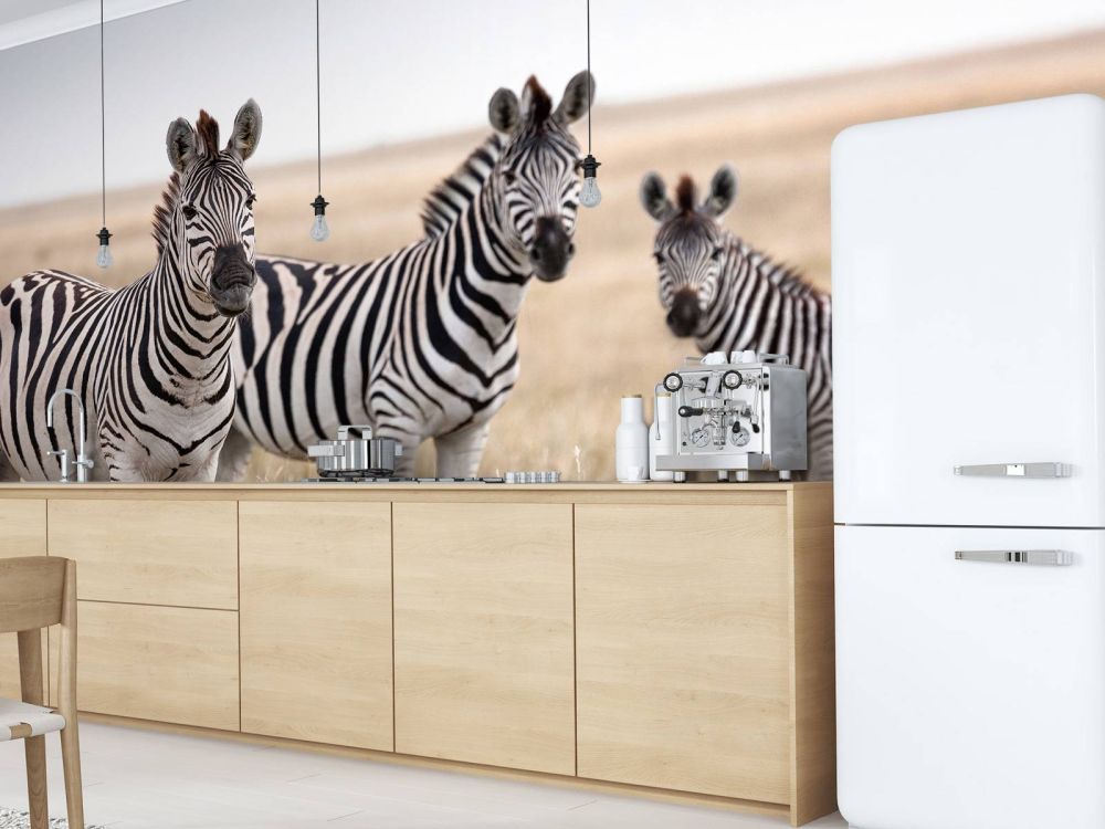 Zebra's in de natuur