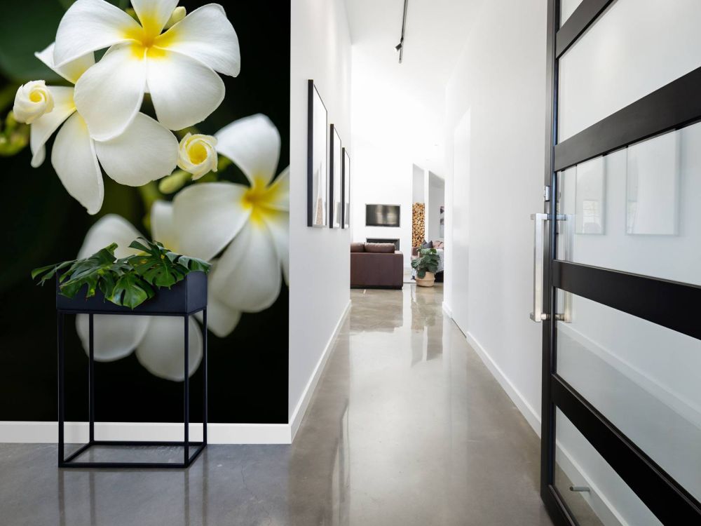 Close-up Plumeria's
