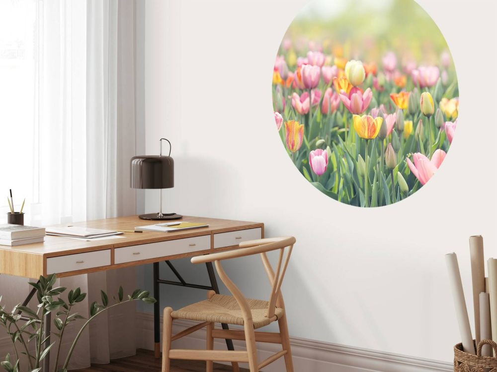 Kleurrijke tulpen