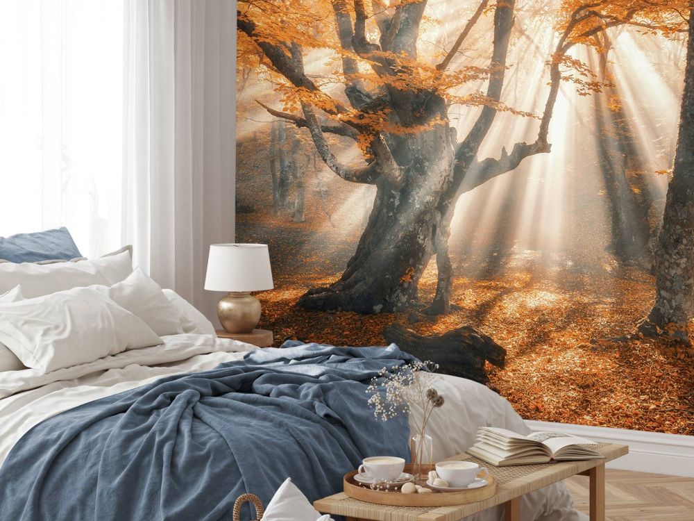 Magisch herfstbos