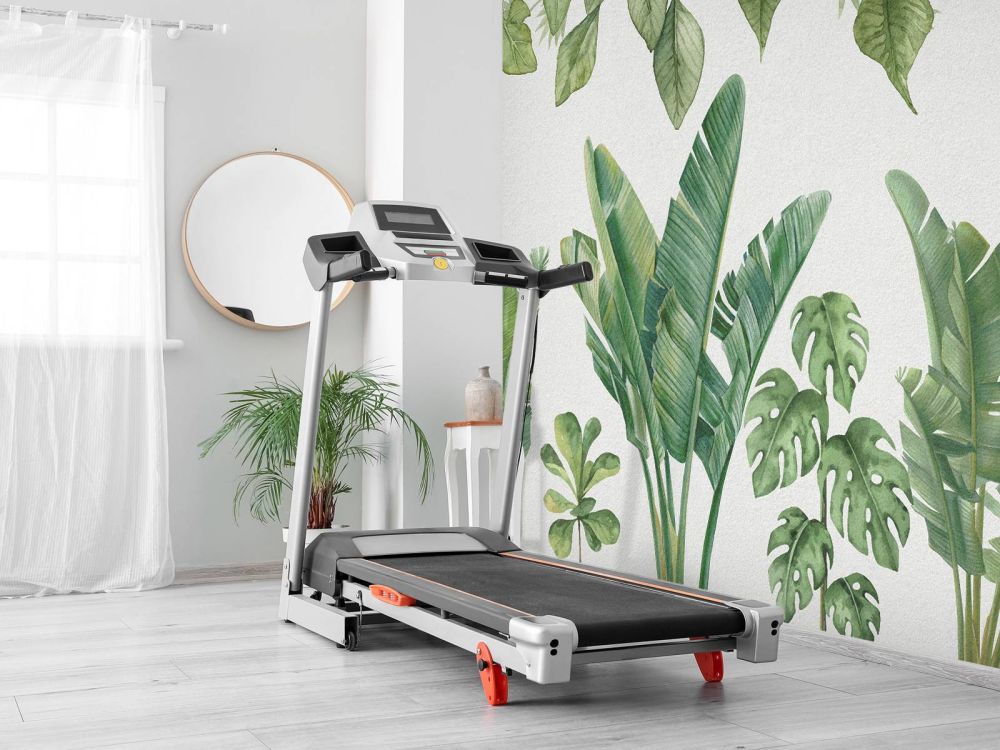 Tropische jungle planten