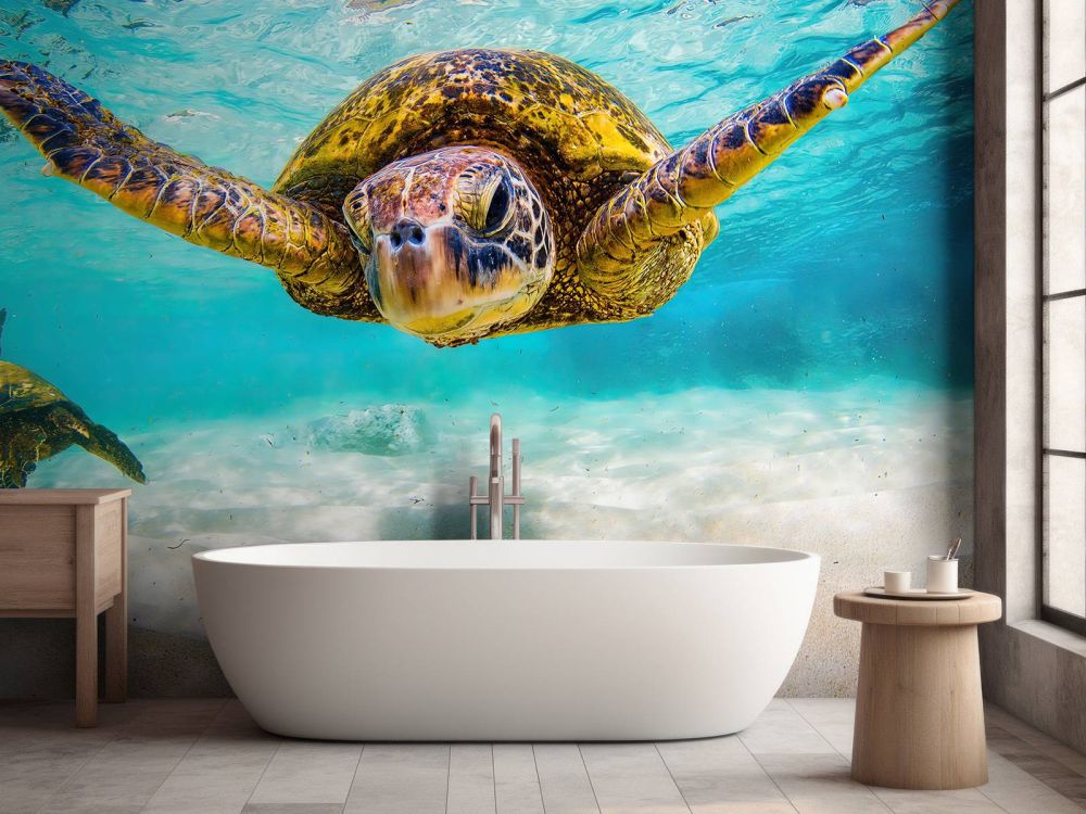 Zeeschildpad in de oceaan