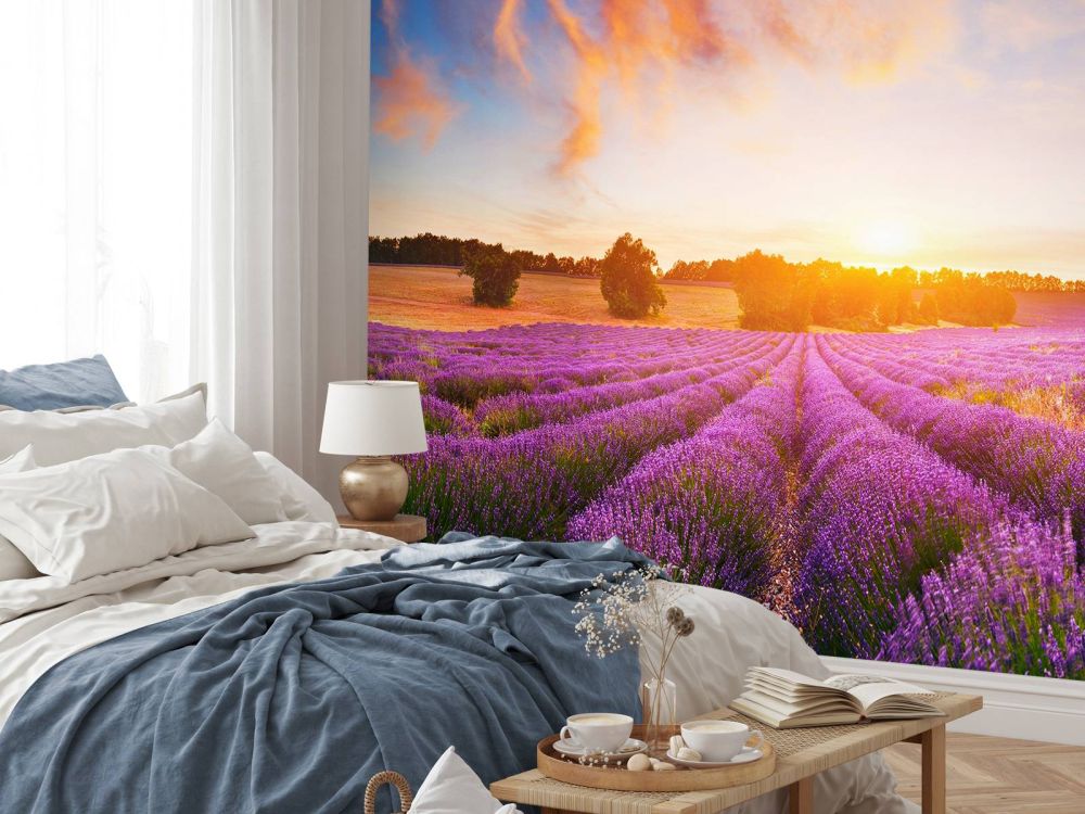 Lavendel Veld op fotobehang