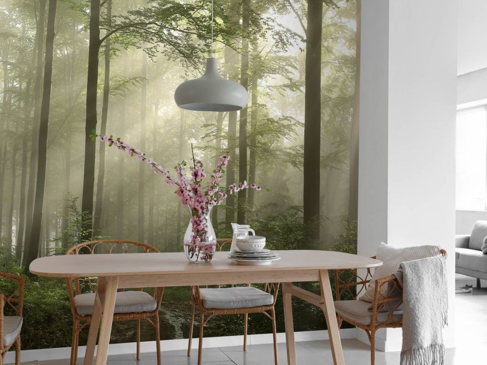 Groen bos in de mist