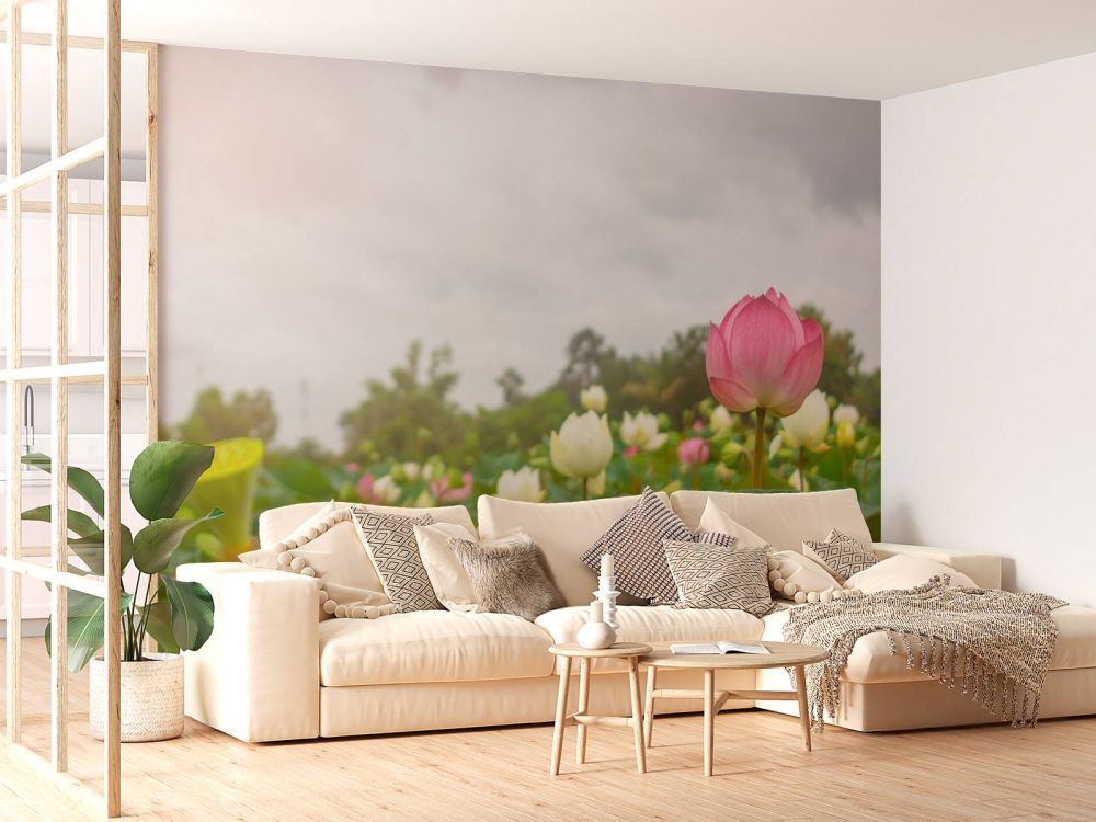 Roze en witte lotusbloemen