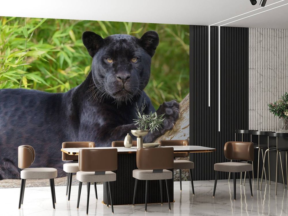 Zwarte panter op een boom