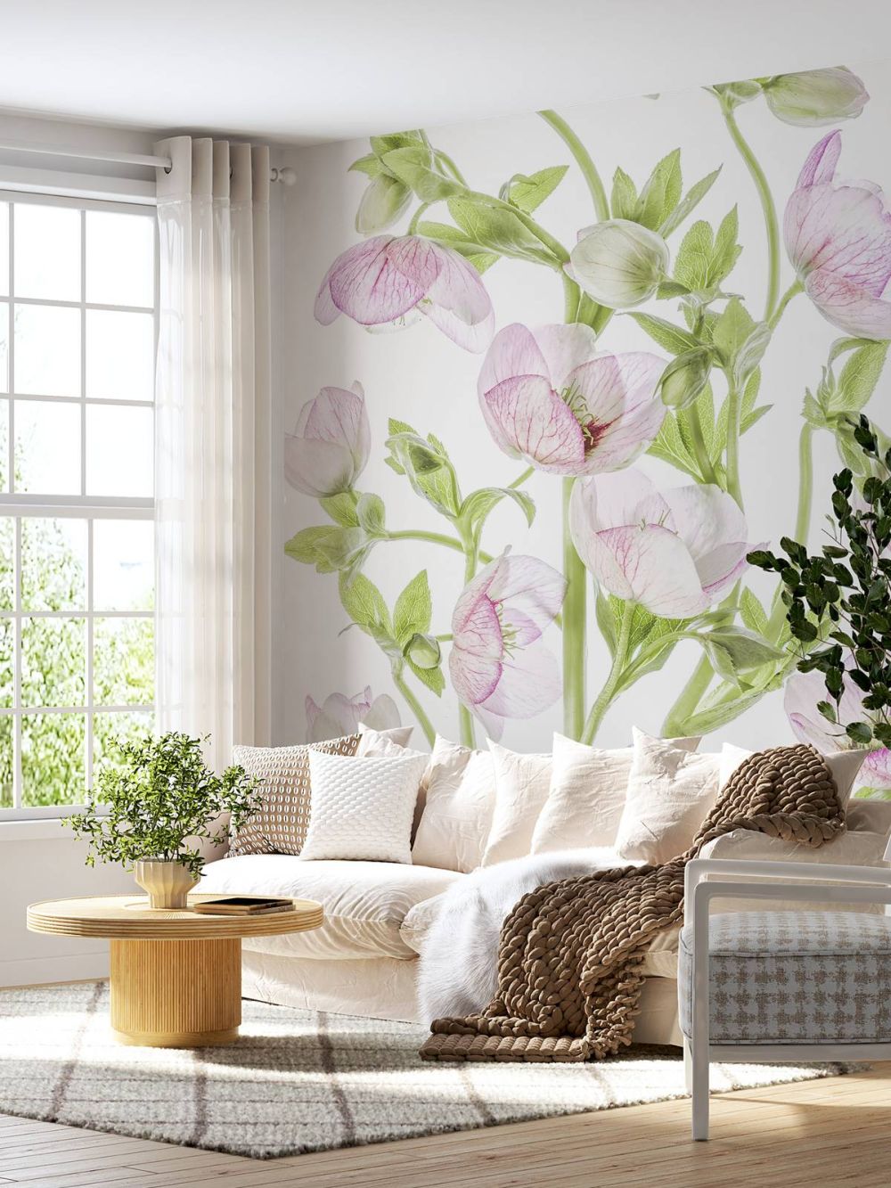 Hellebore