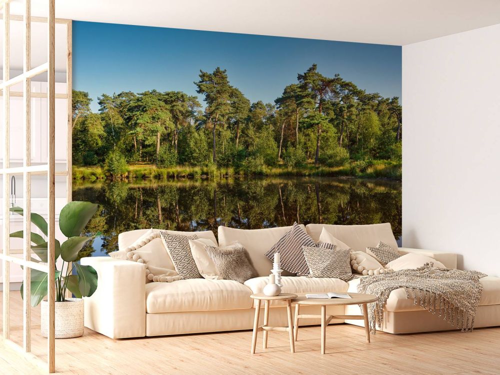Weerspiegeling in bosven