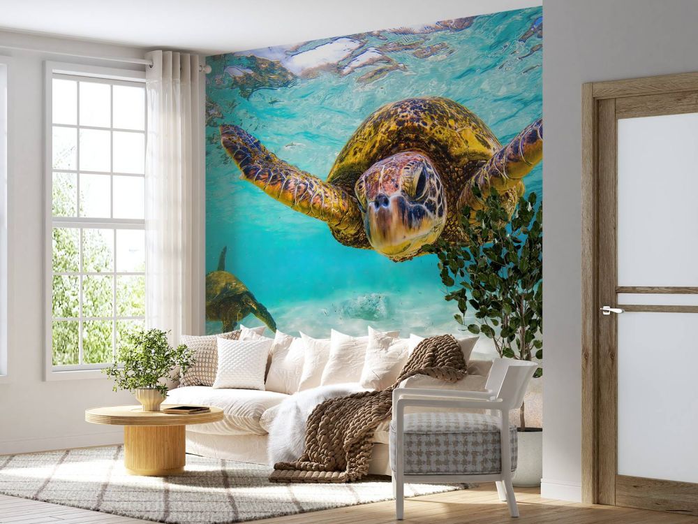Zeeschildpad in de oceaan