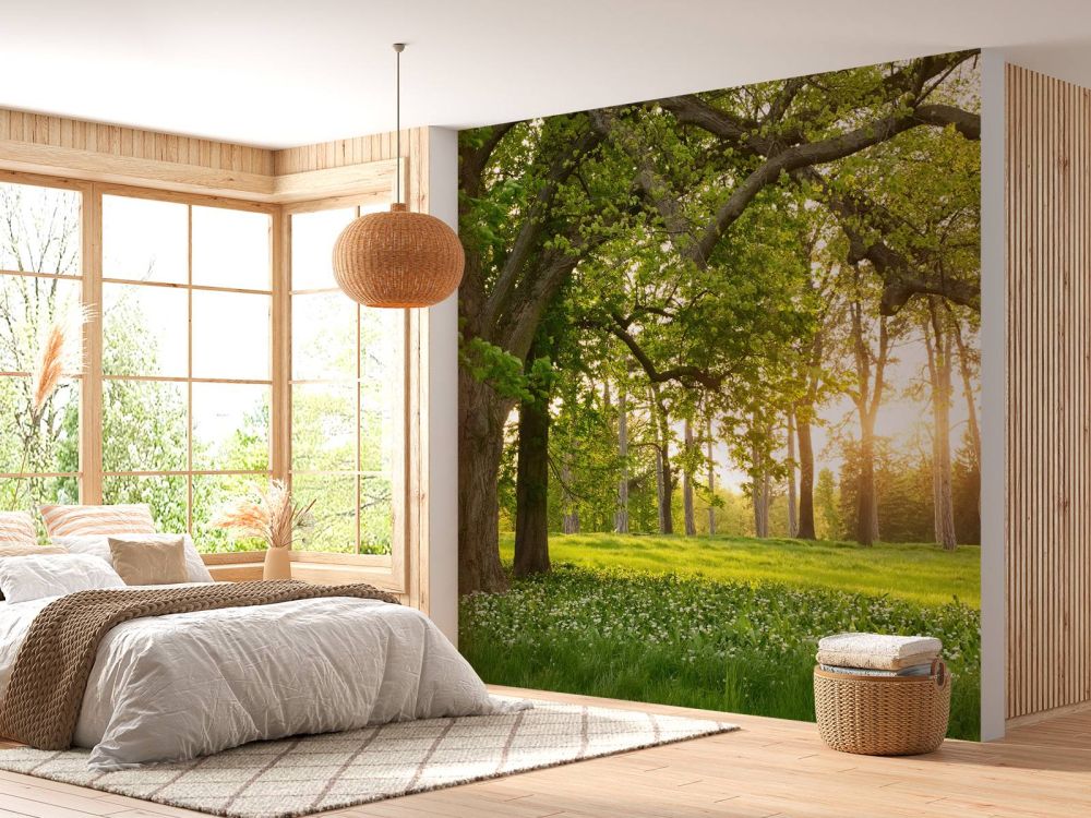 Fotobehang van een open plek in het bos