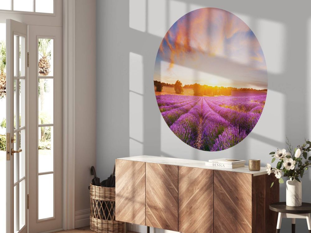 Lavendel Veld op fotobehang