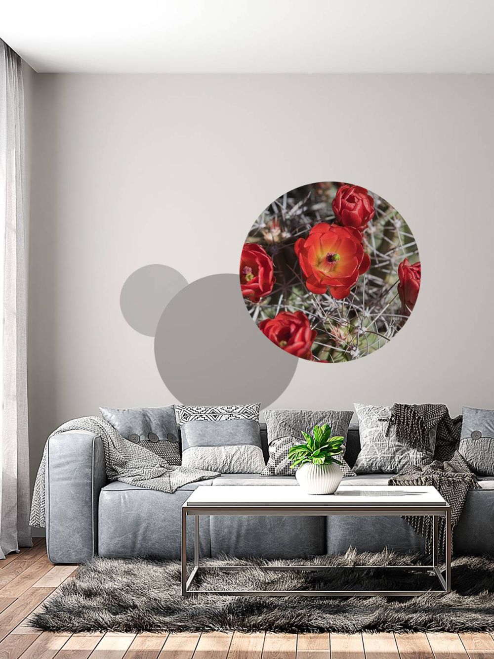 Rode cactus bloemen