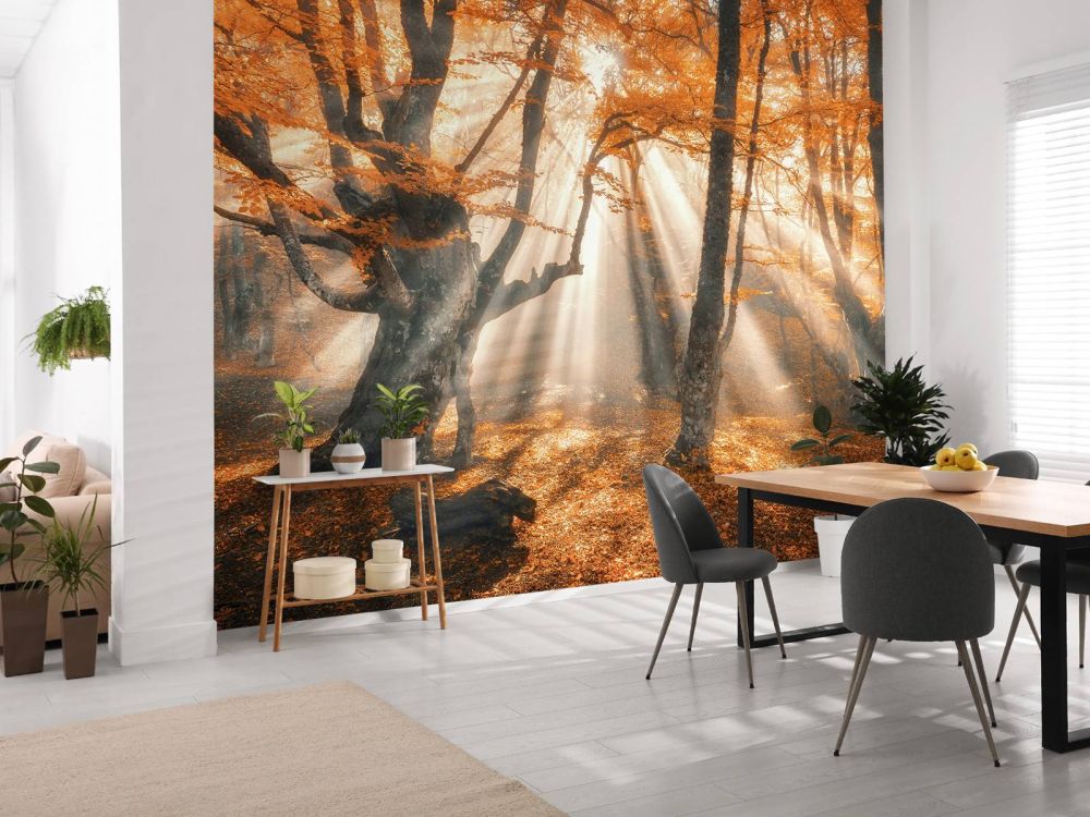 Magisch herfstbos
