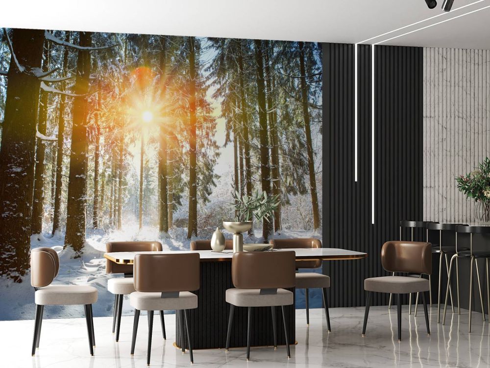 Zonlicht in het winterbos