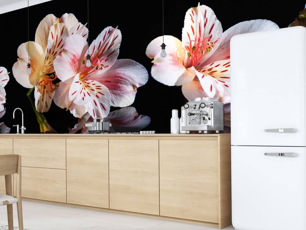Alstroemeria bloemen met reflectie