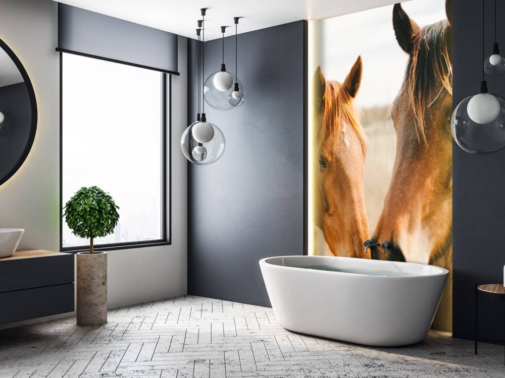 Twee paarden