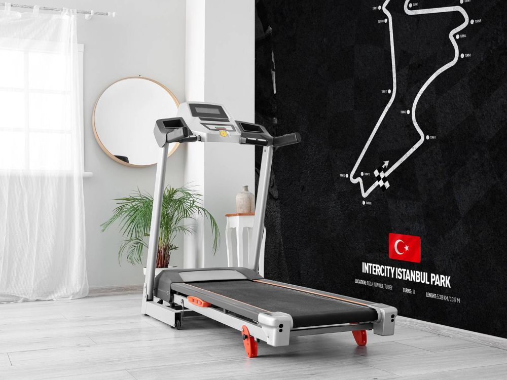Formule 1 circuit - Intercity Istanbul Park - Turkije