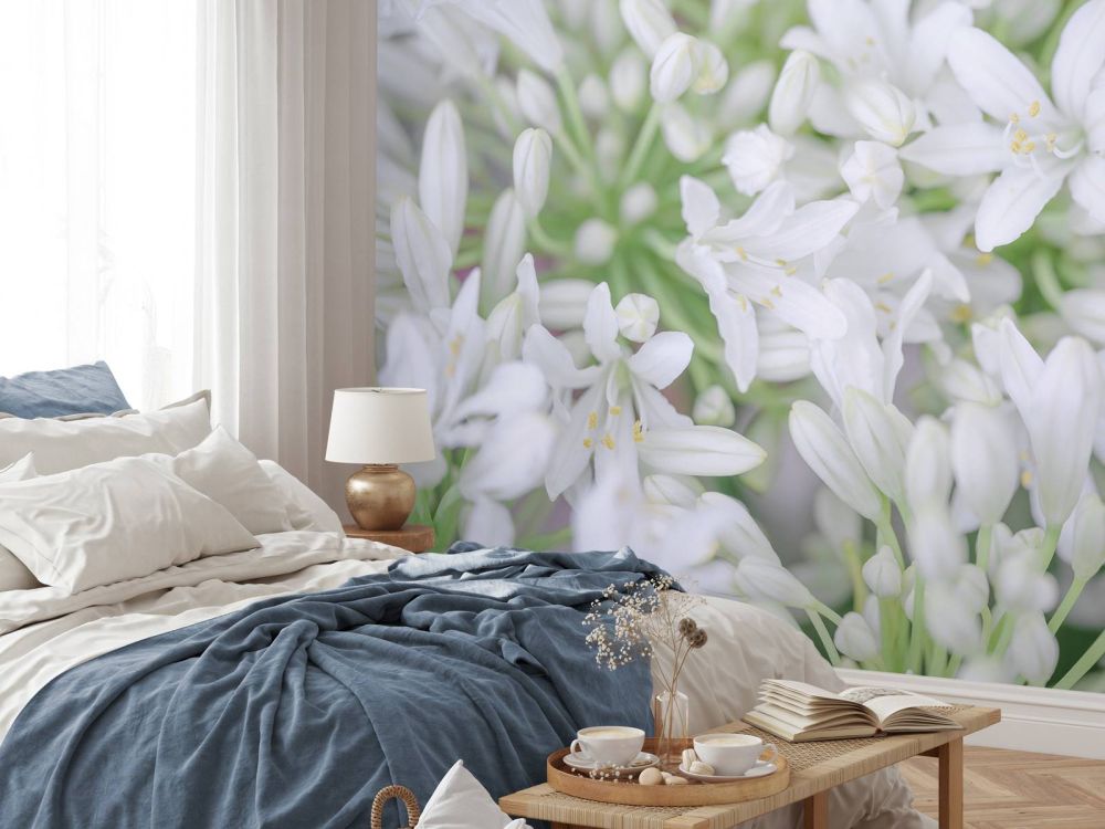 African Lily