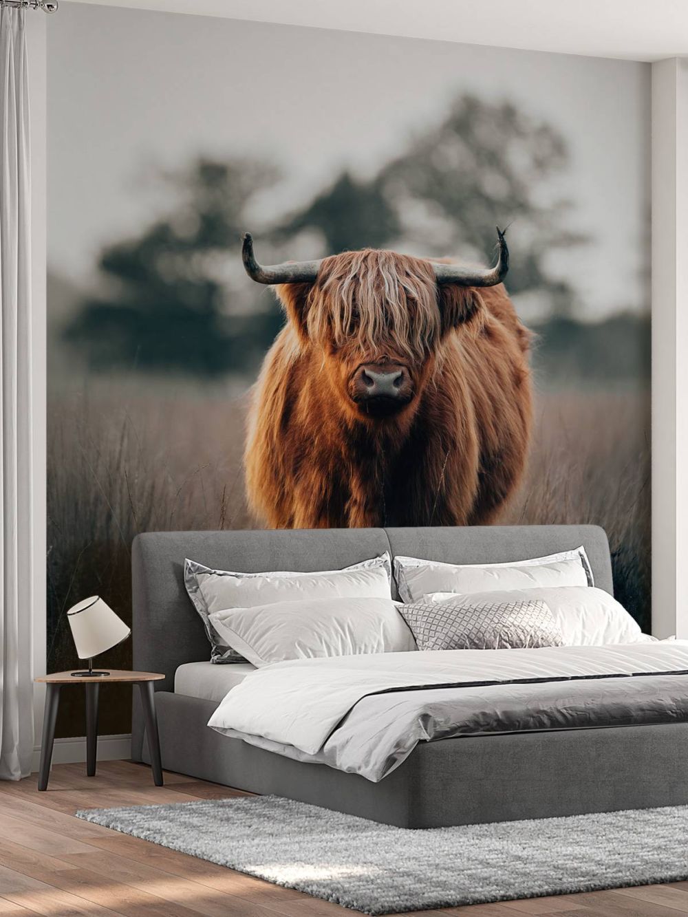 Portret van hoogland vee