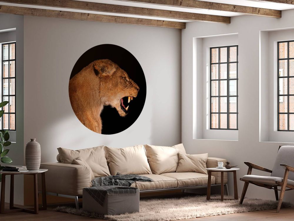 Lioness side view