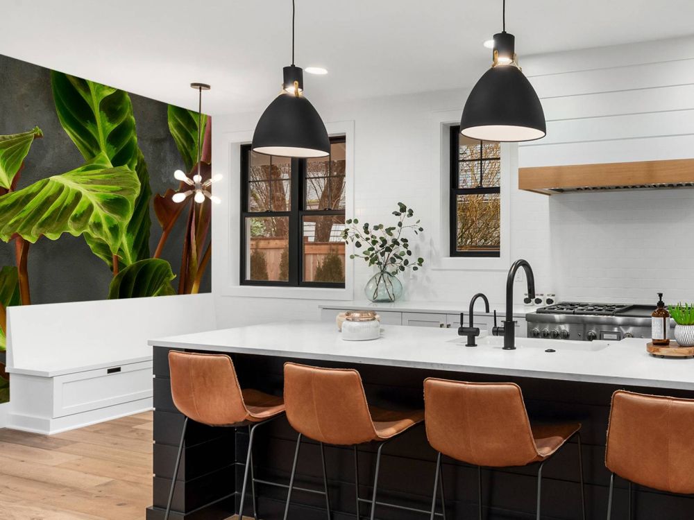 Plant met mooie groene bladeren