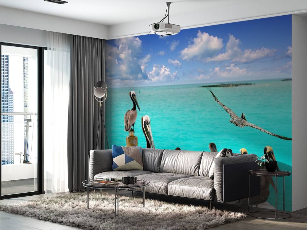 Caribische pelikaan