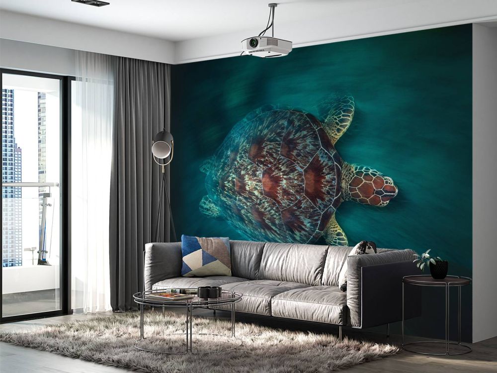 Vaclocity Turtle