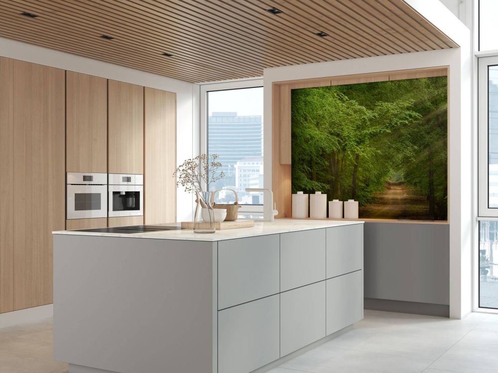 Pad in bos met zonnestralen 