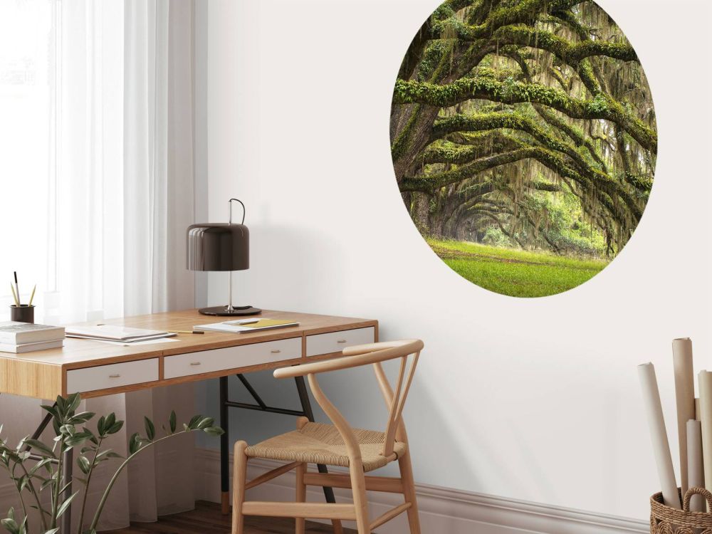 Eikenbomen