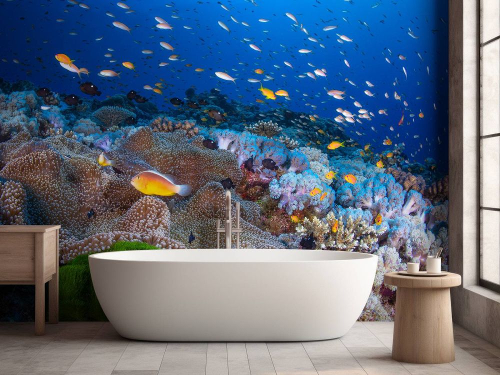 Anemon and Anthias