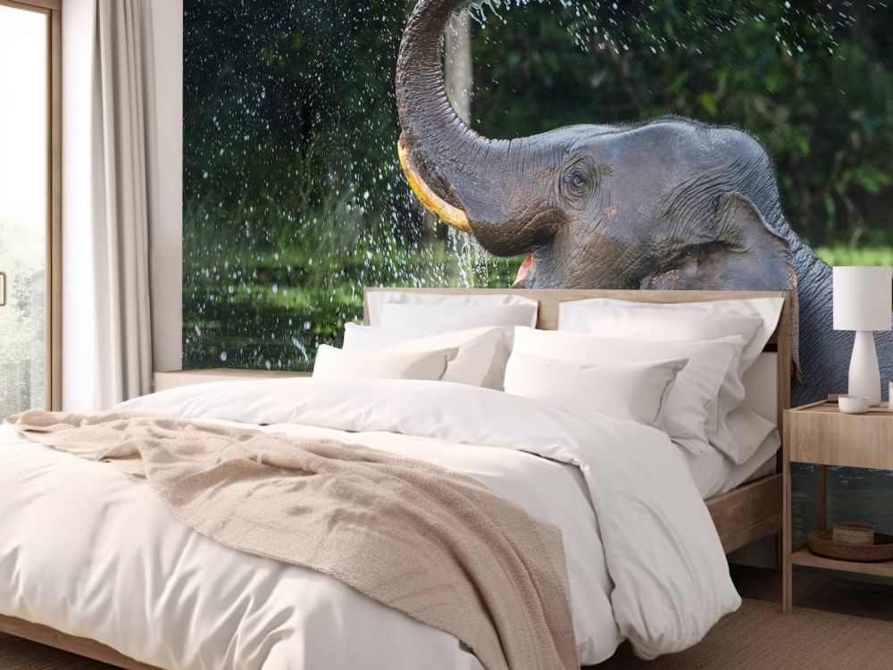 Olifant in water