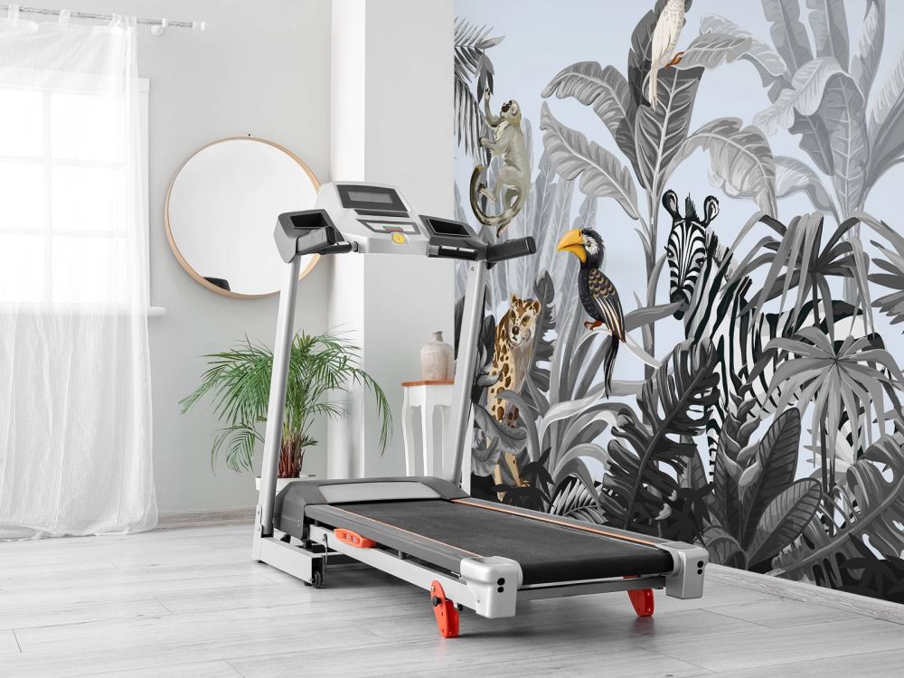 Jungle vol dieren