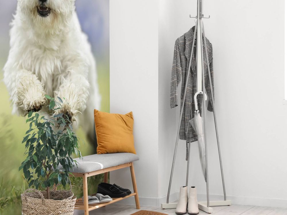 Rennende hond