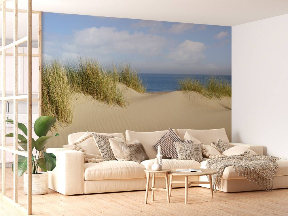 Duin doorgang naar het strand