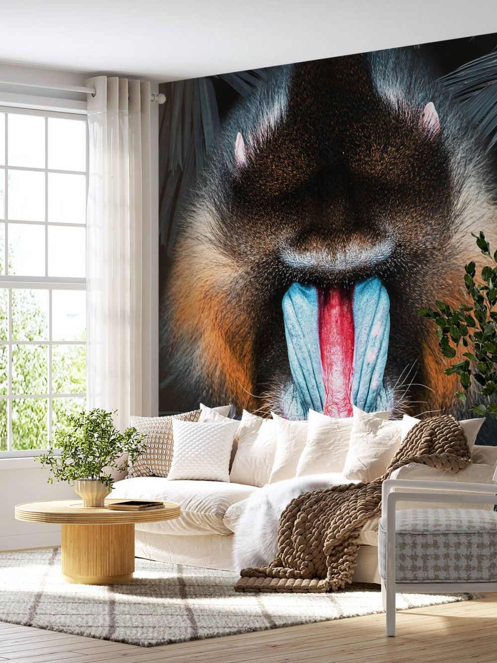 Mandrill Portret