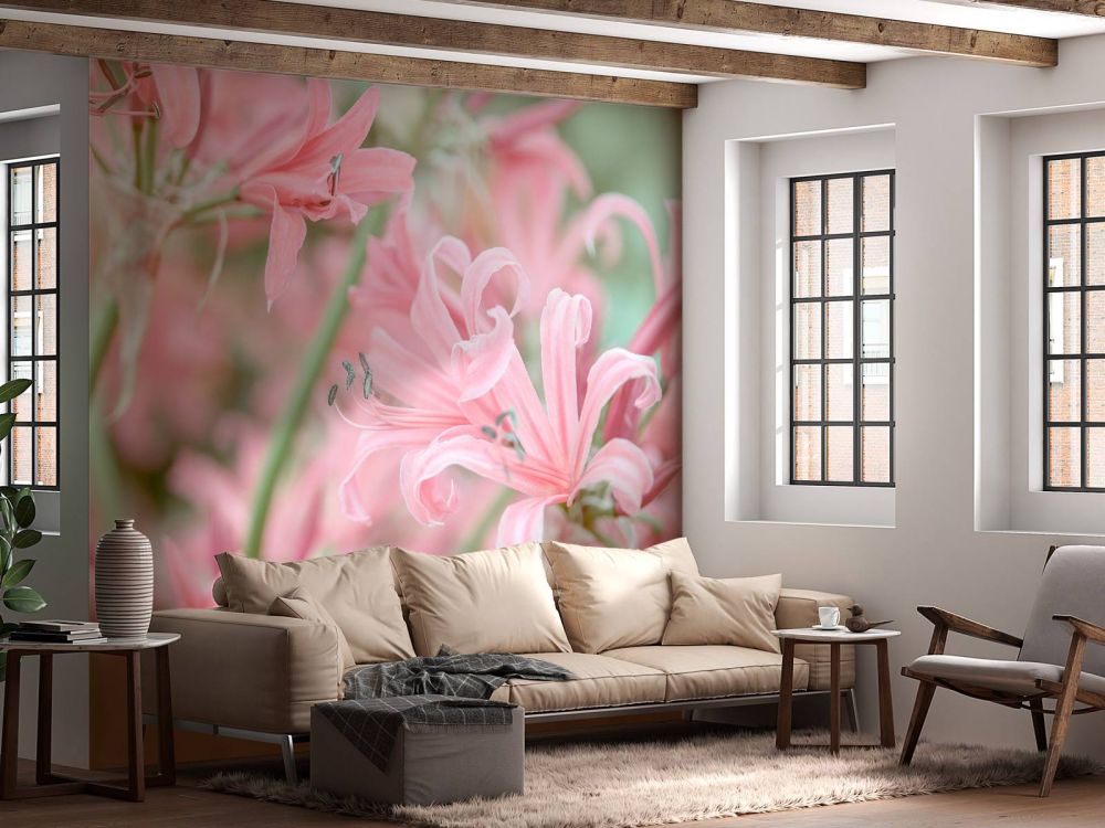 Nerine bloemen