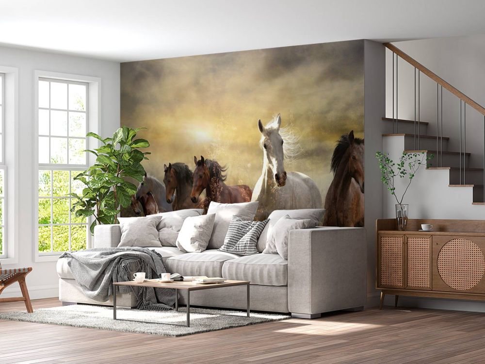 Galopperende paarden bij zonsondergang