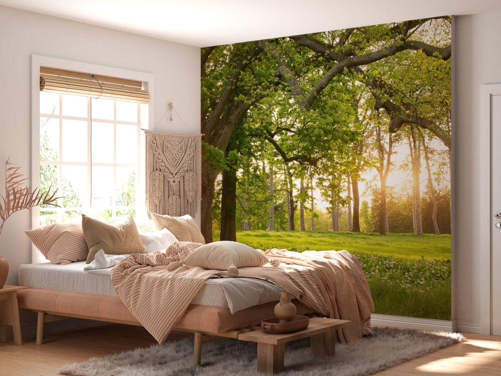 Fotobehang van een open plek in het bos