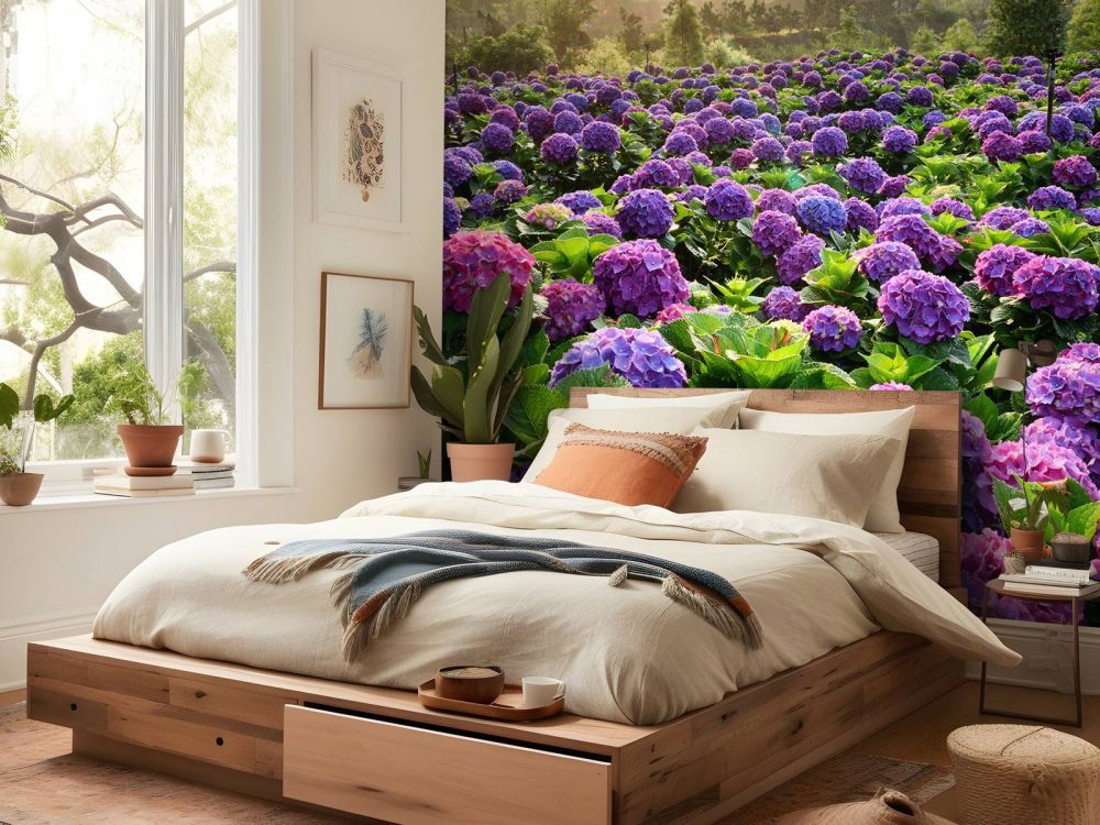 Hortensia's in een veld