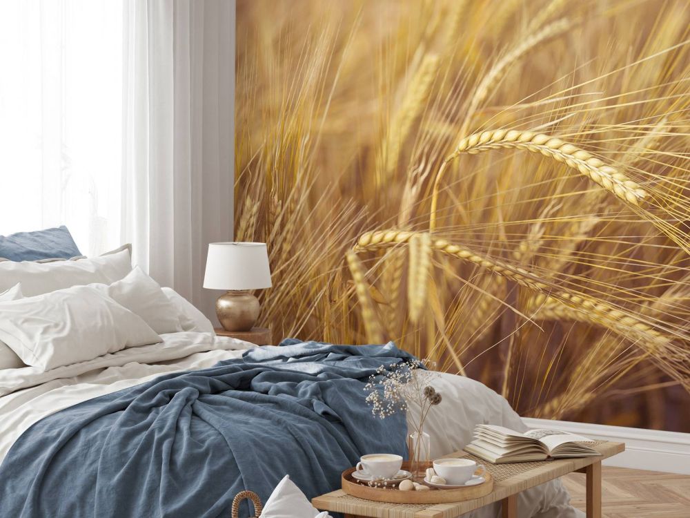 Wheat Field