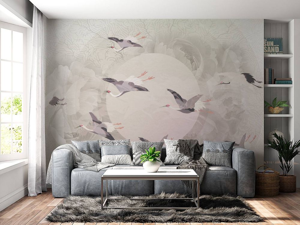 Serenity 6