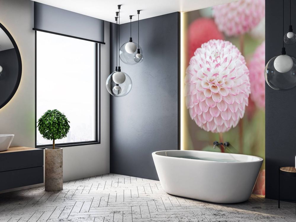 Roze dahlia bloemen